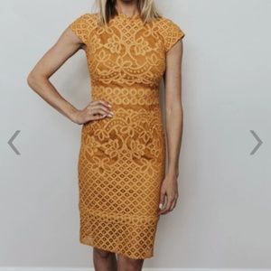 Mustard Yellow Aria Lace Dress in Goldenrod